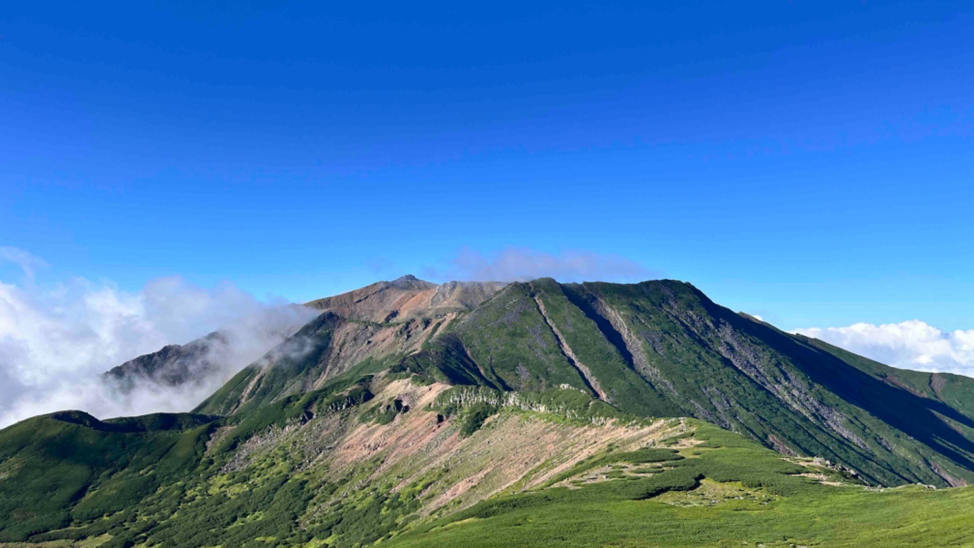 山